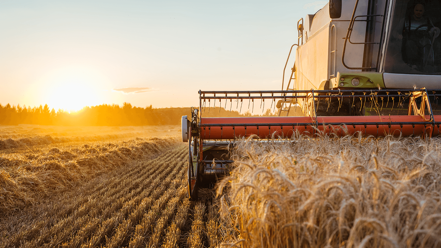 Government seeks to simplify water licensing and rationalise energy costs to boost cereal production