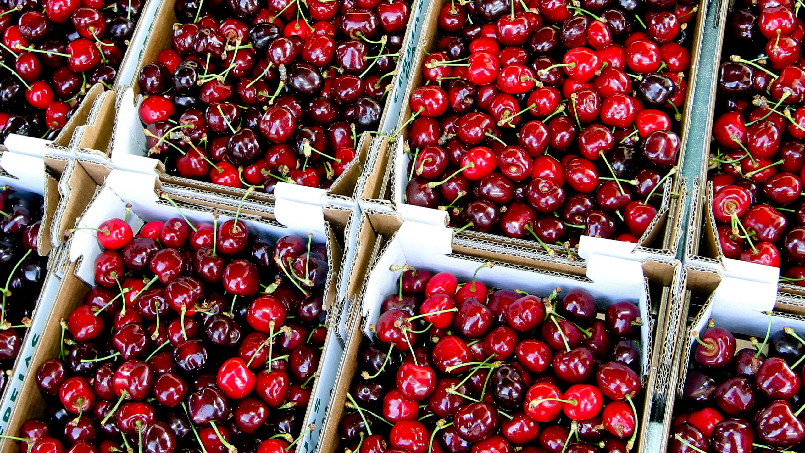 Polytechnic of Guarda leads project to promote cherries from Resende, Fundão, and Valle de Jerte