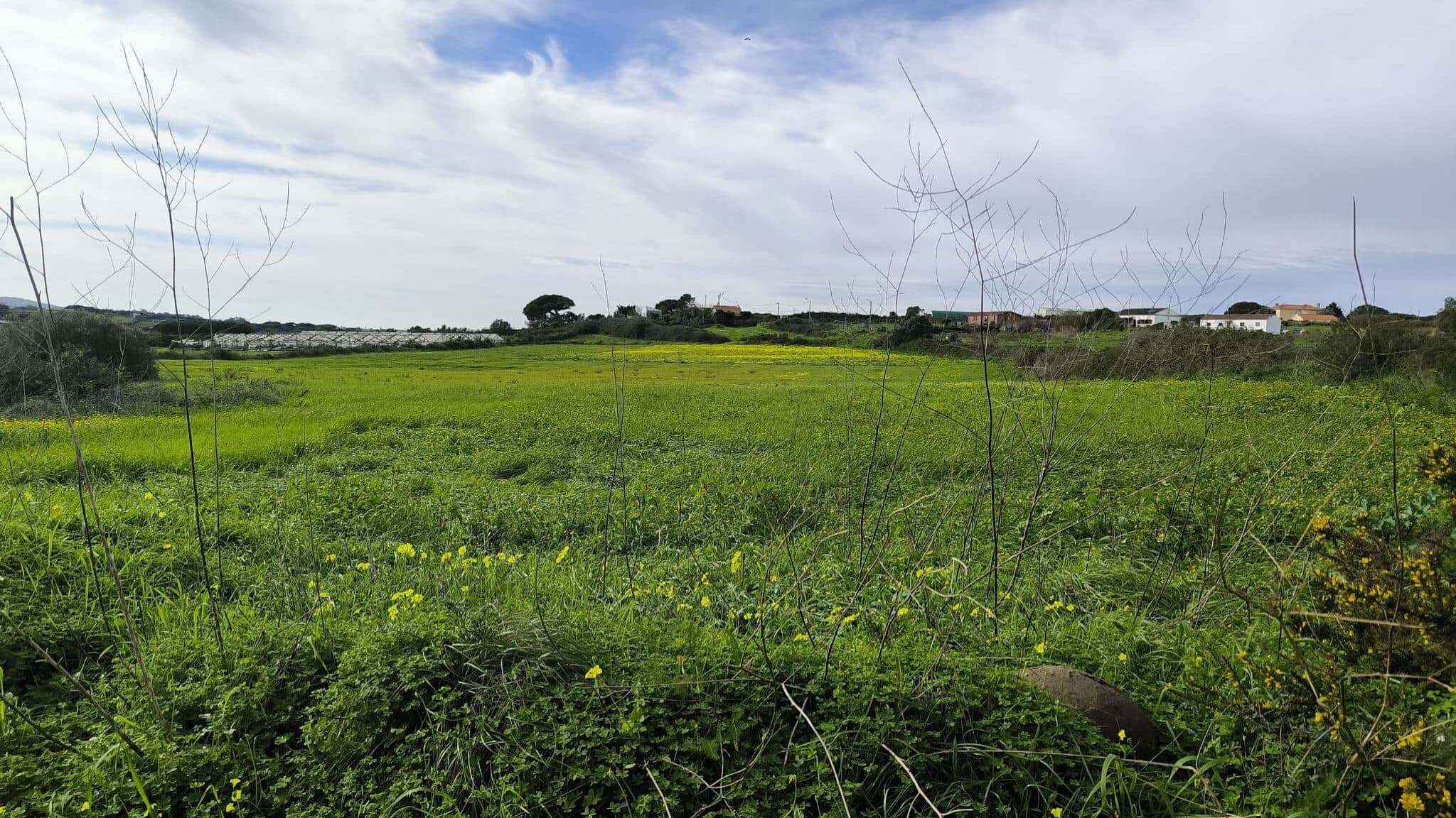 Landowners must georeference land to access support or subsidies