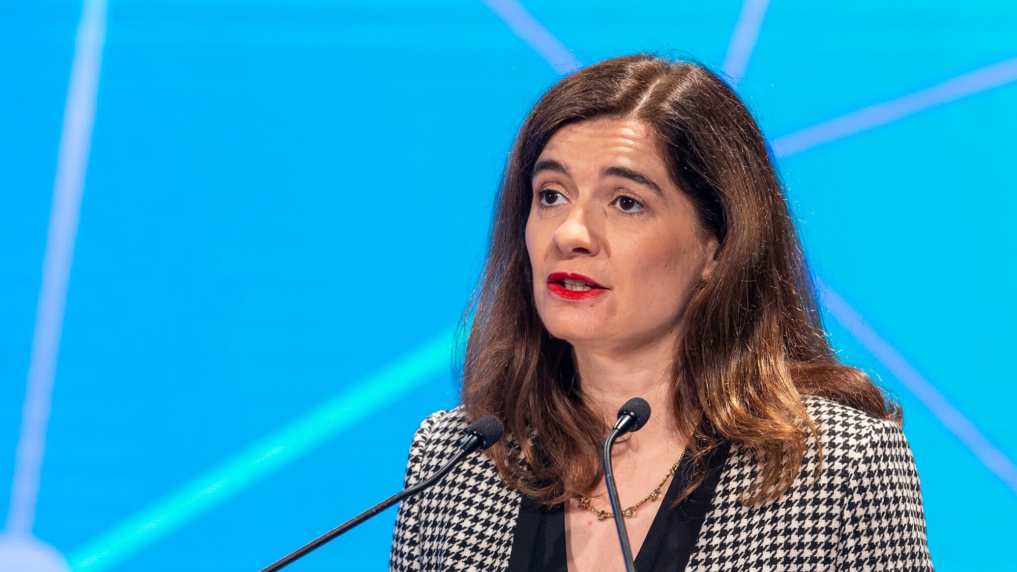 Portugal has red lines on own resources to finance the European budget