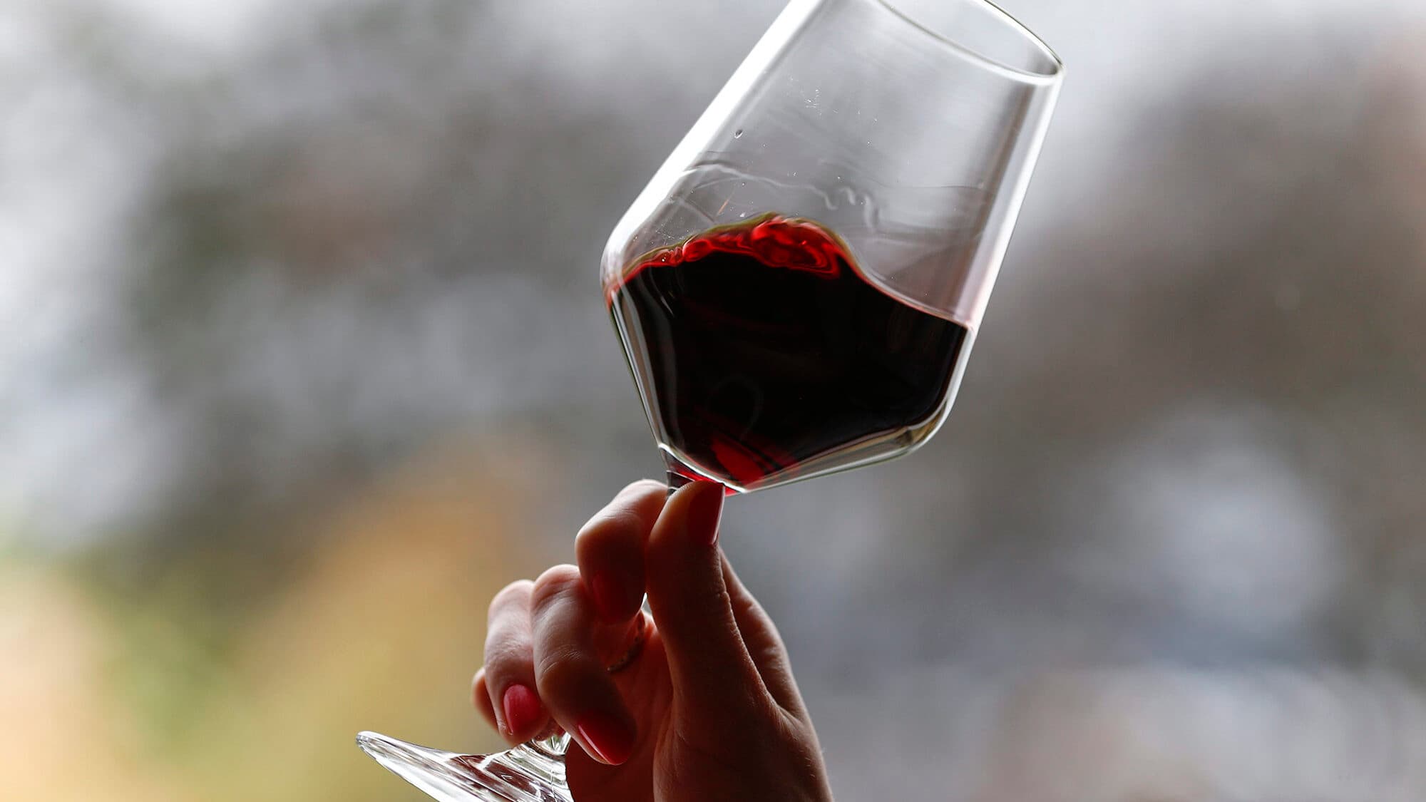Wine sector expects to reach €1 billion in exports as early as 2026