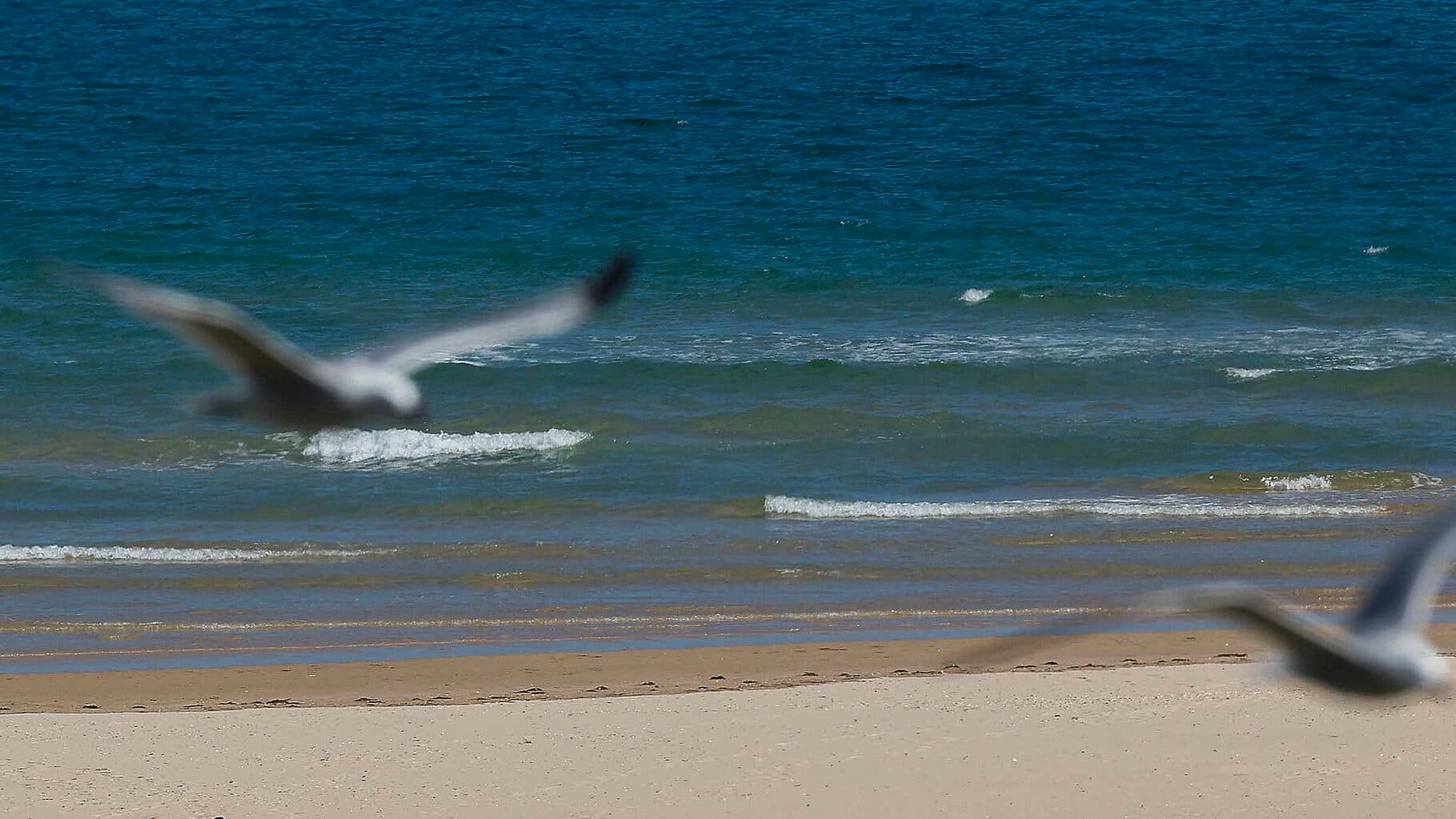 Albufeira beaches closed due to wastewater discharge