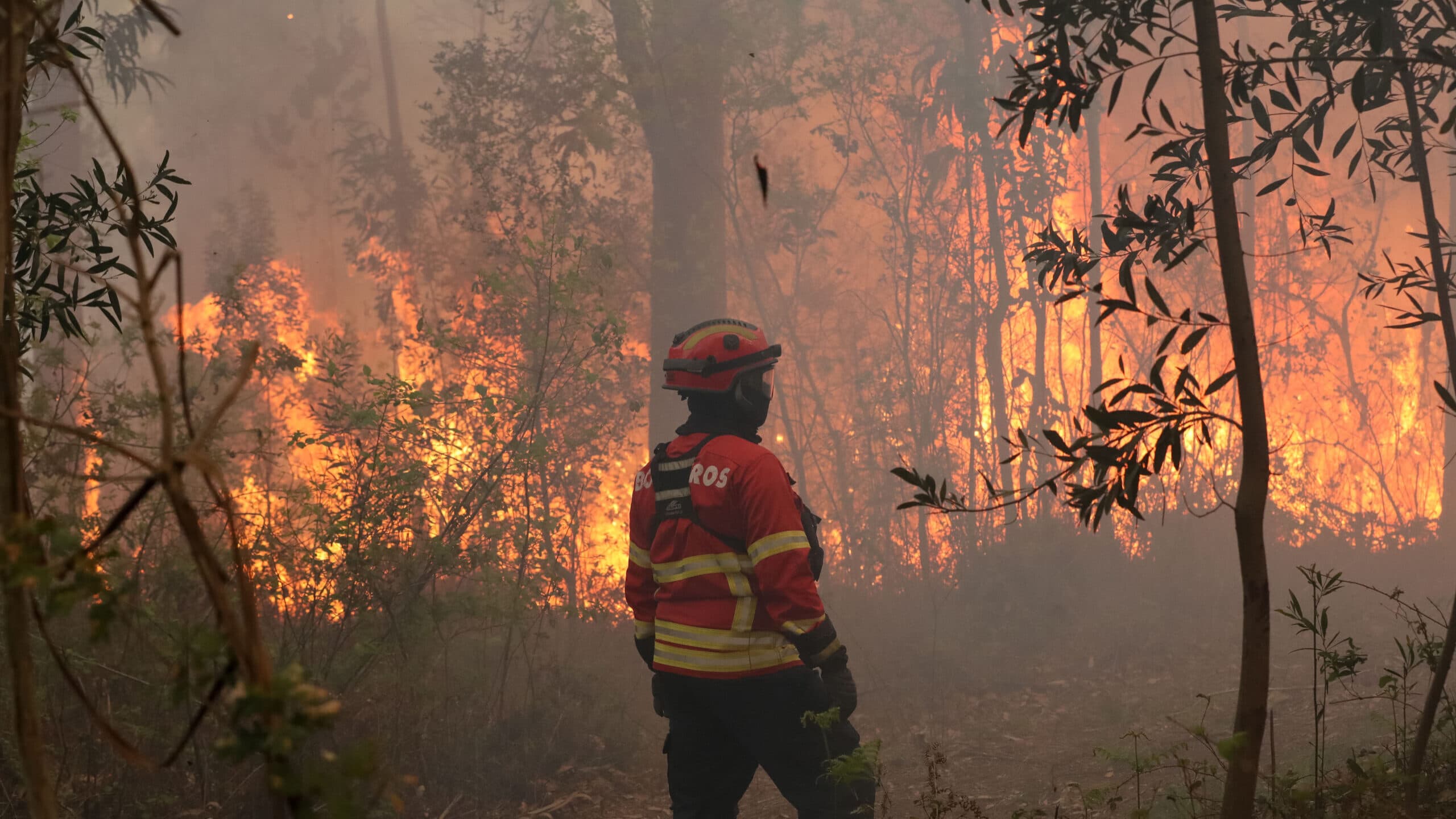 Tondela City Council estimates 7.5 million euros in damages caused by fire