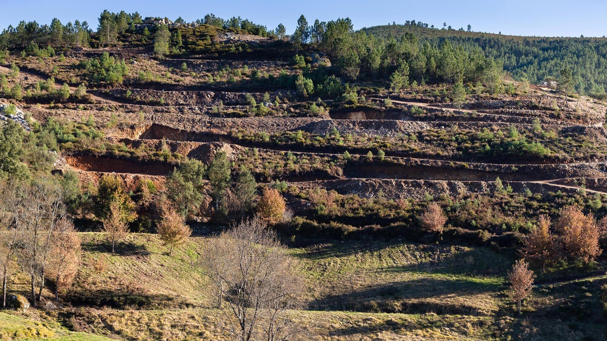 TCE singles out Portugal negatively for delays in licensing lithium projects