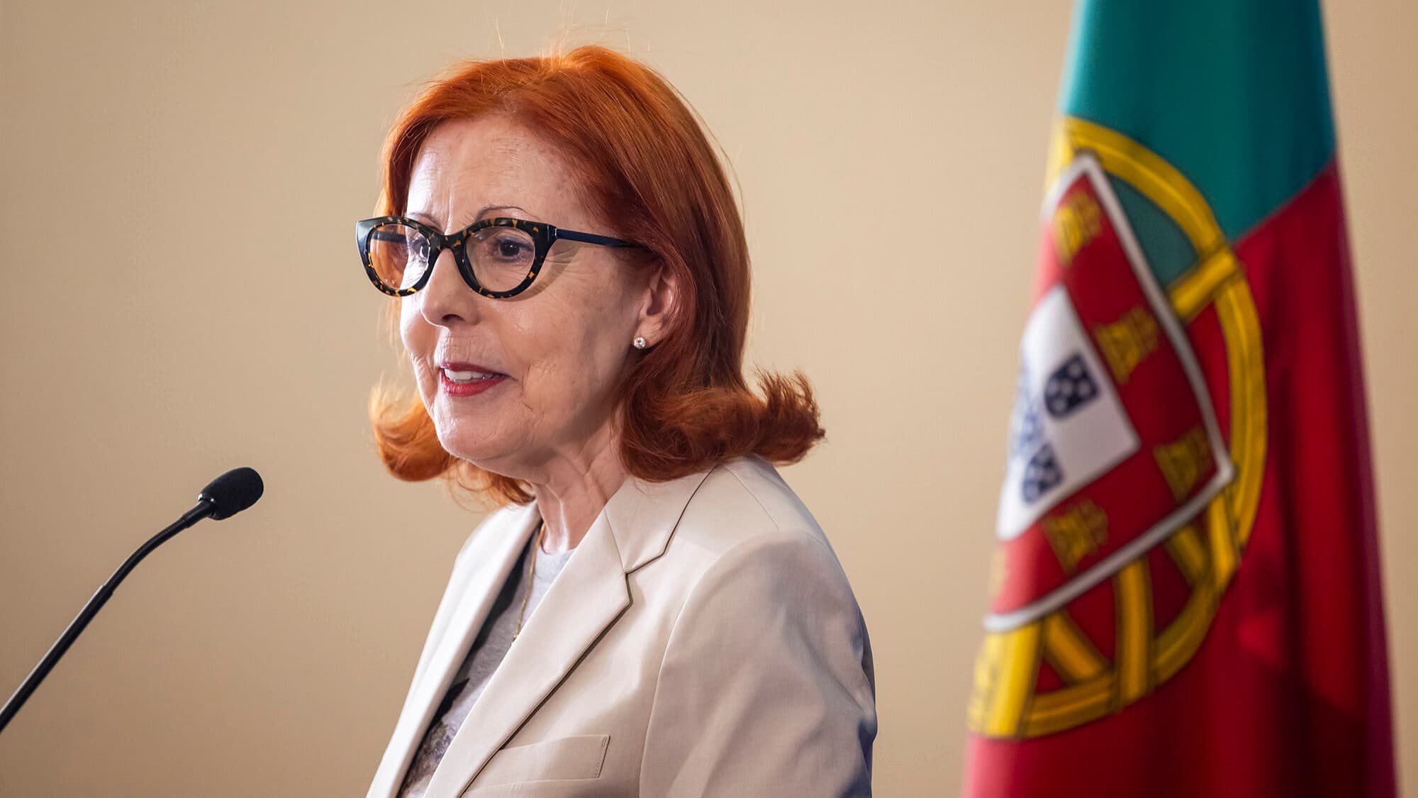 Pisão Dam works must proceed "quickly" to guarantee funding