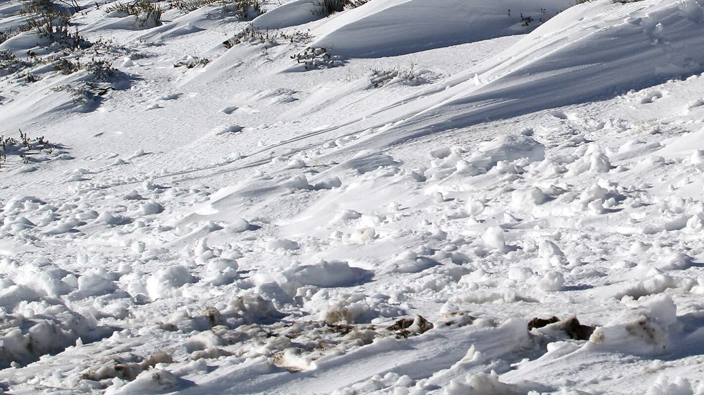 Snow affects several airports in Europe, with flights to Portugal cancelled