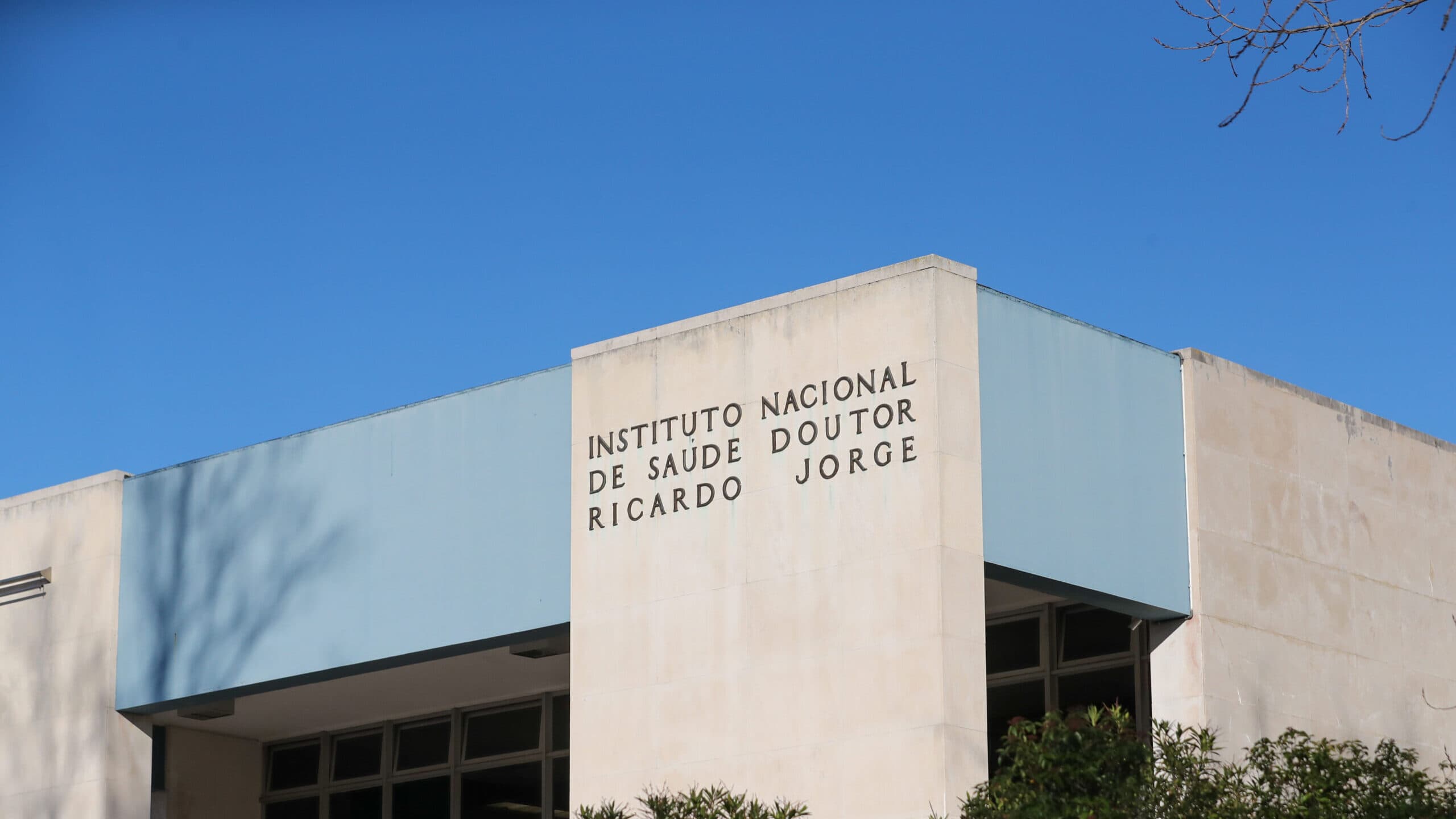 Flu eases in Portugal but excess deaths persist