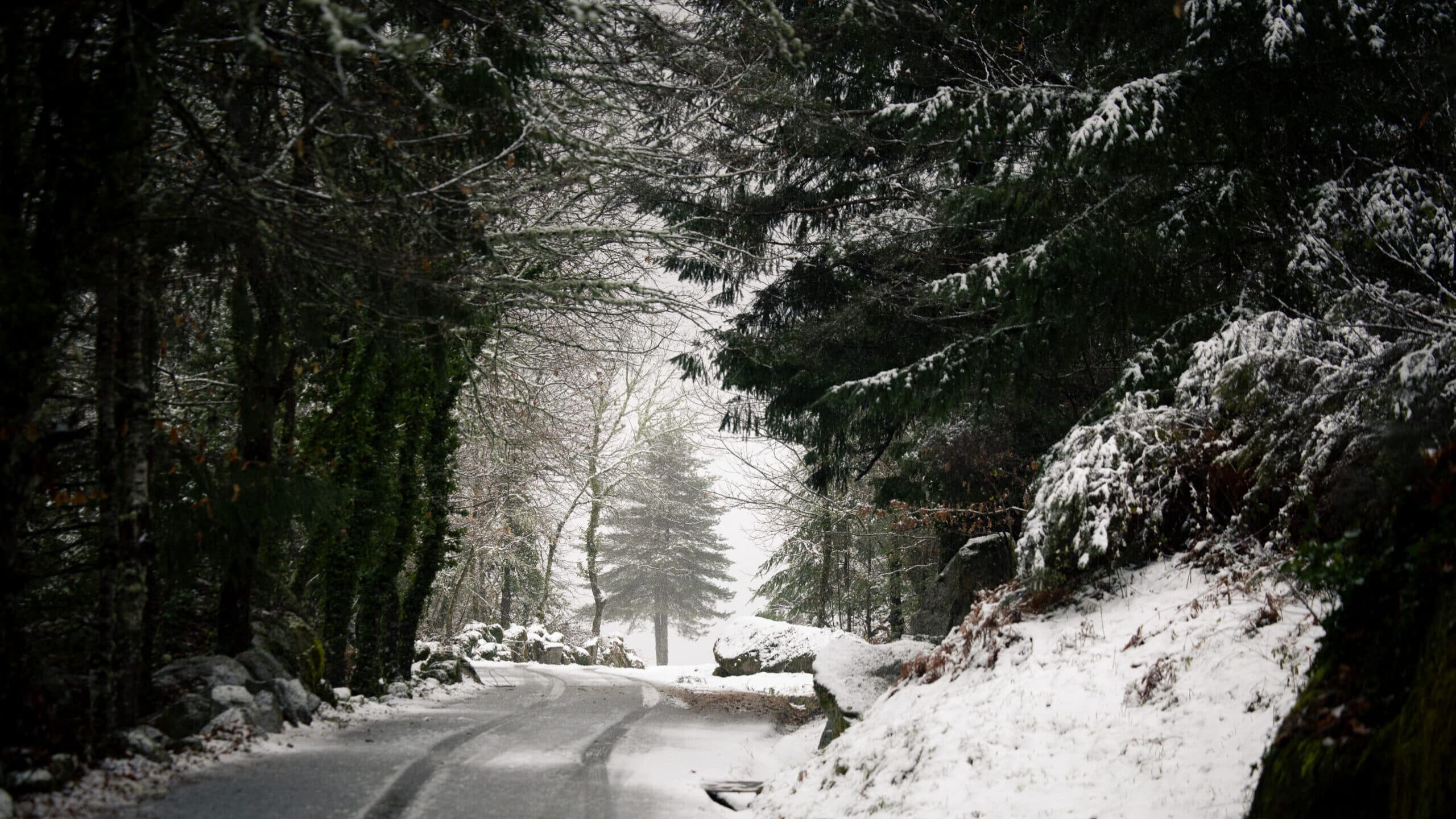 Ingrid 'strikes' this Saturday, with greatest impact in Lisbon and the Tagus Valley