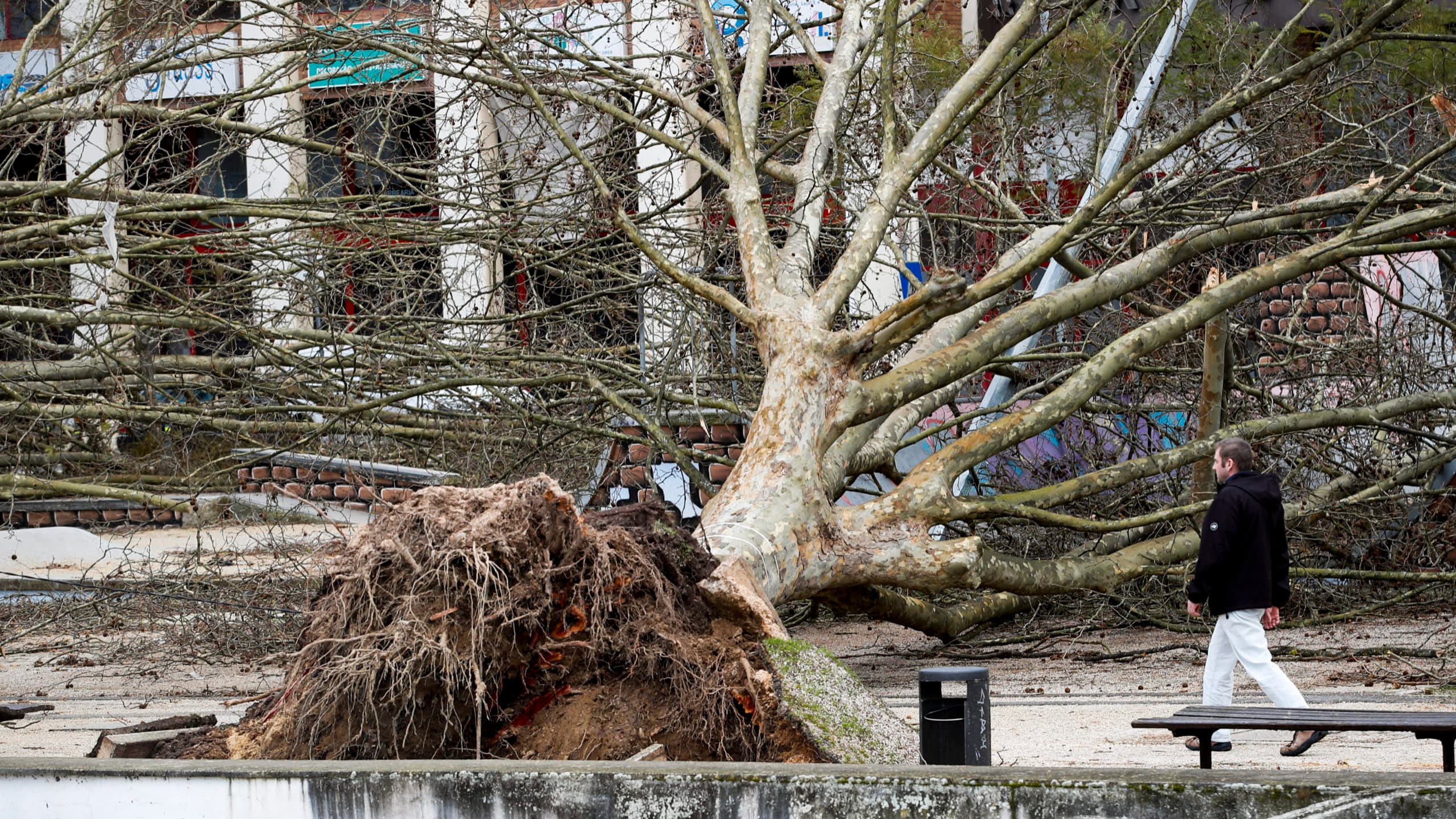 Several districts under warnings due to rain, wind, snow and rough sea conditions