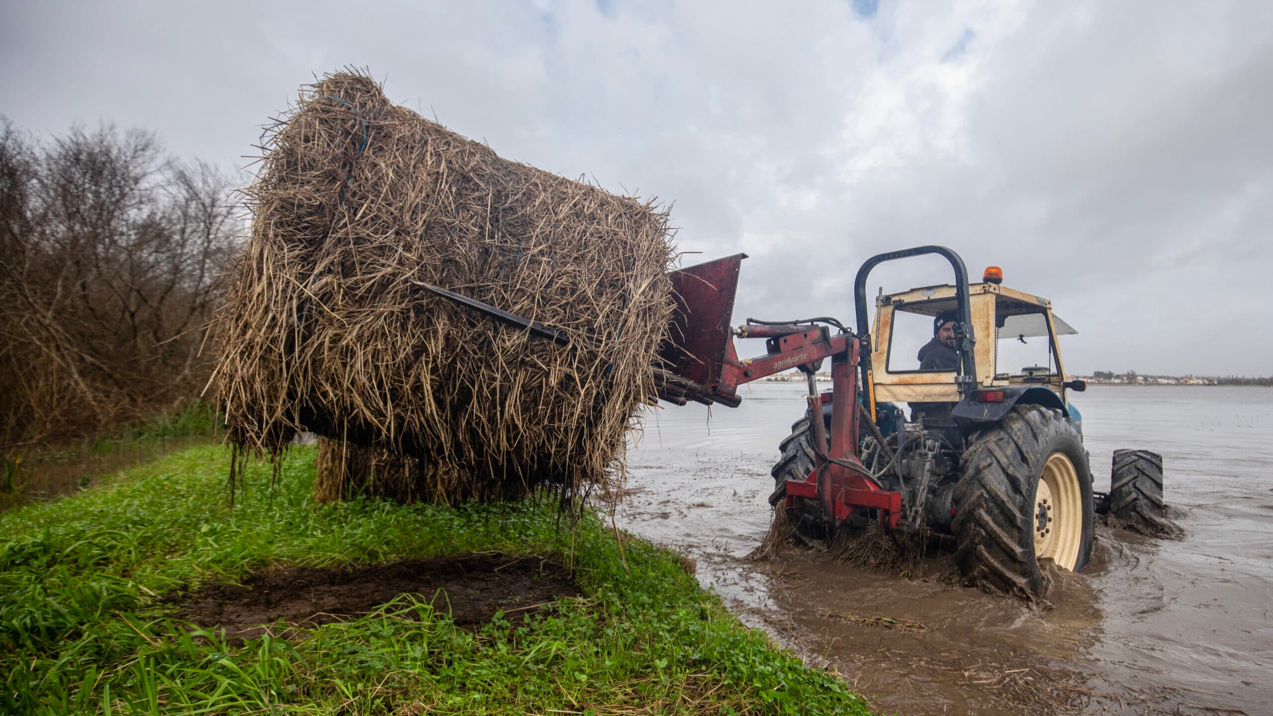 Depression Kristin: Ministry of Agriculture launches platform to report weather damage