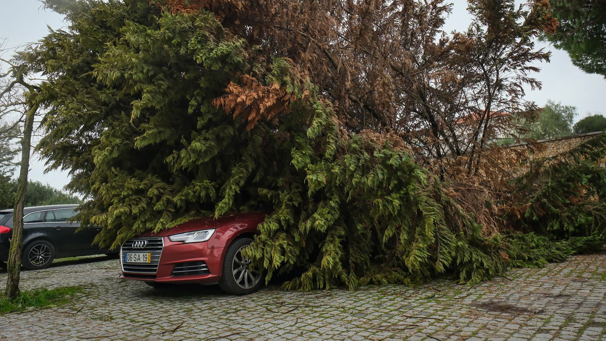 Nazaré also asks the Government to declare a state of calamity