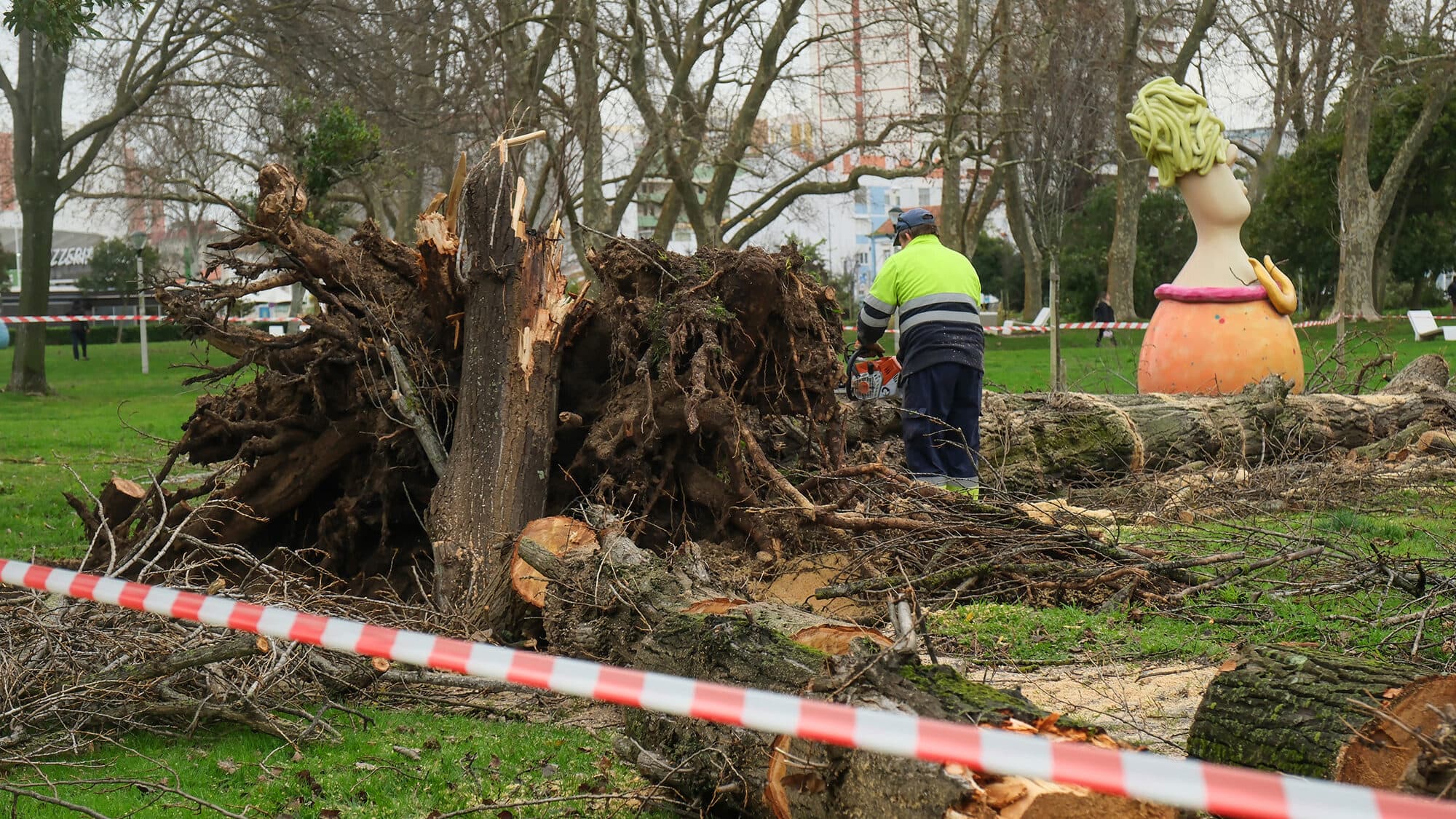 Fall of 'hundreds of trees' keeps A1 partially closed; maximum alert until midnight