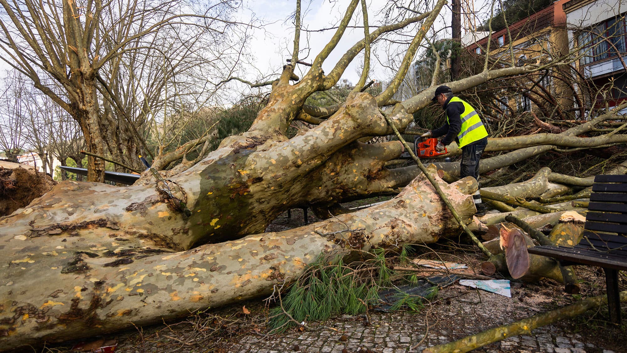 Kristin: Brussels has not received a request to amend the RRP and advises using the solidarity fund