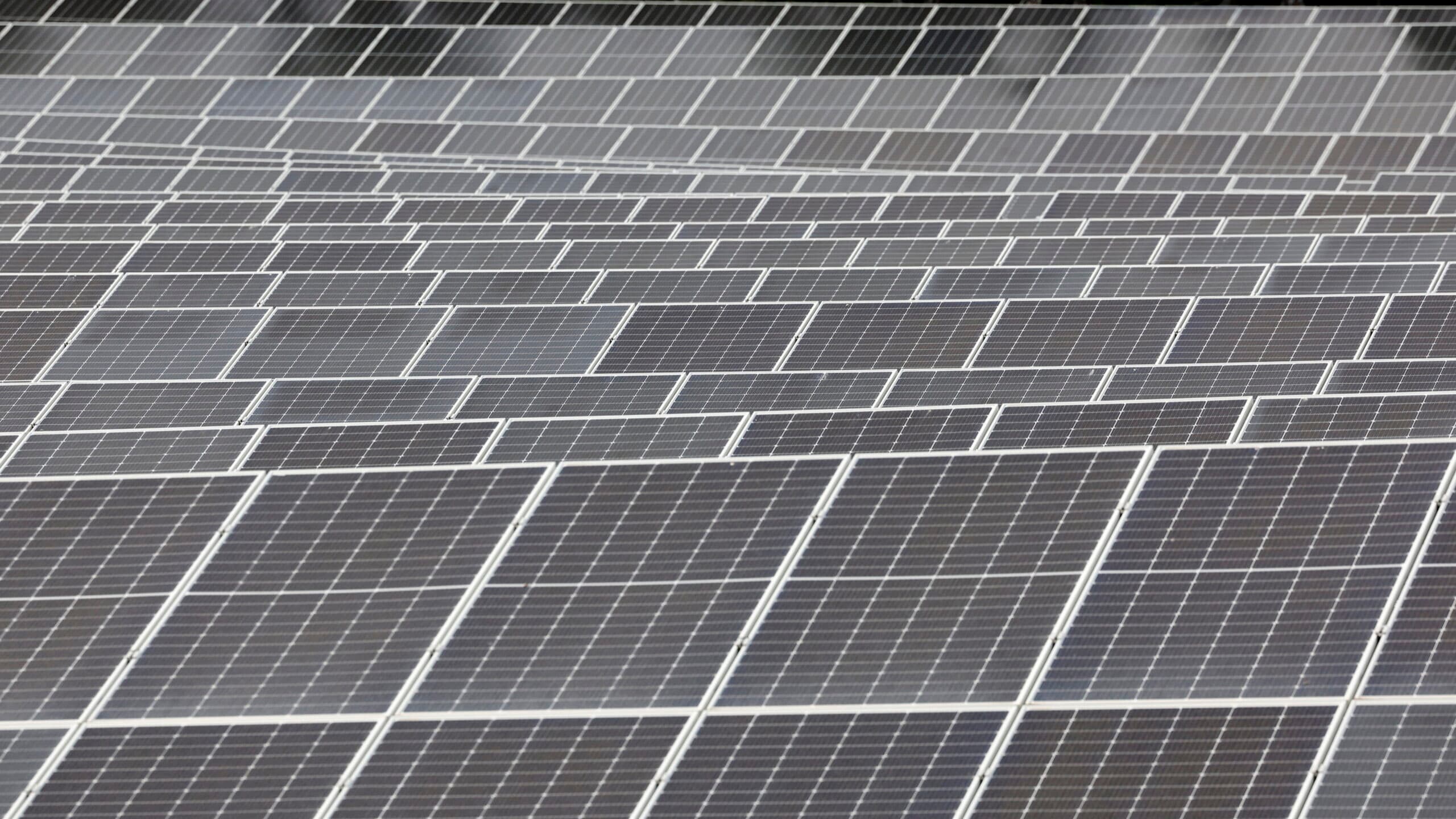 APA flags major impacts on Sophia solar project
