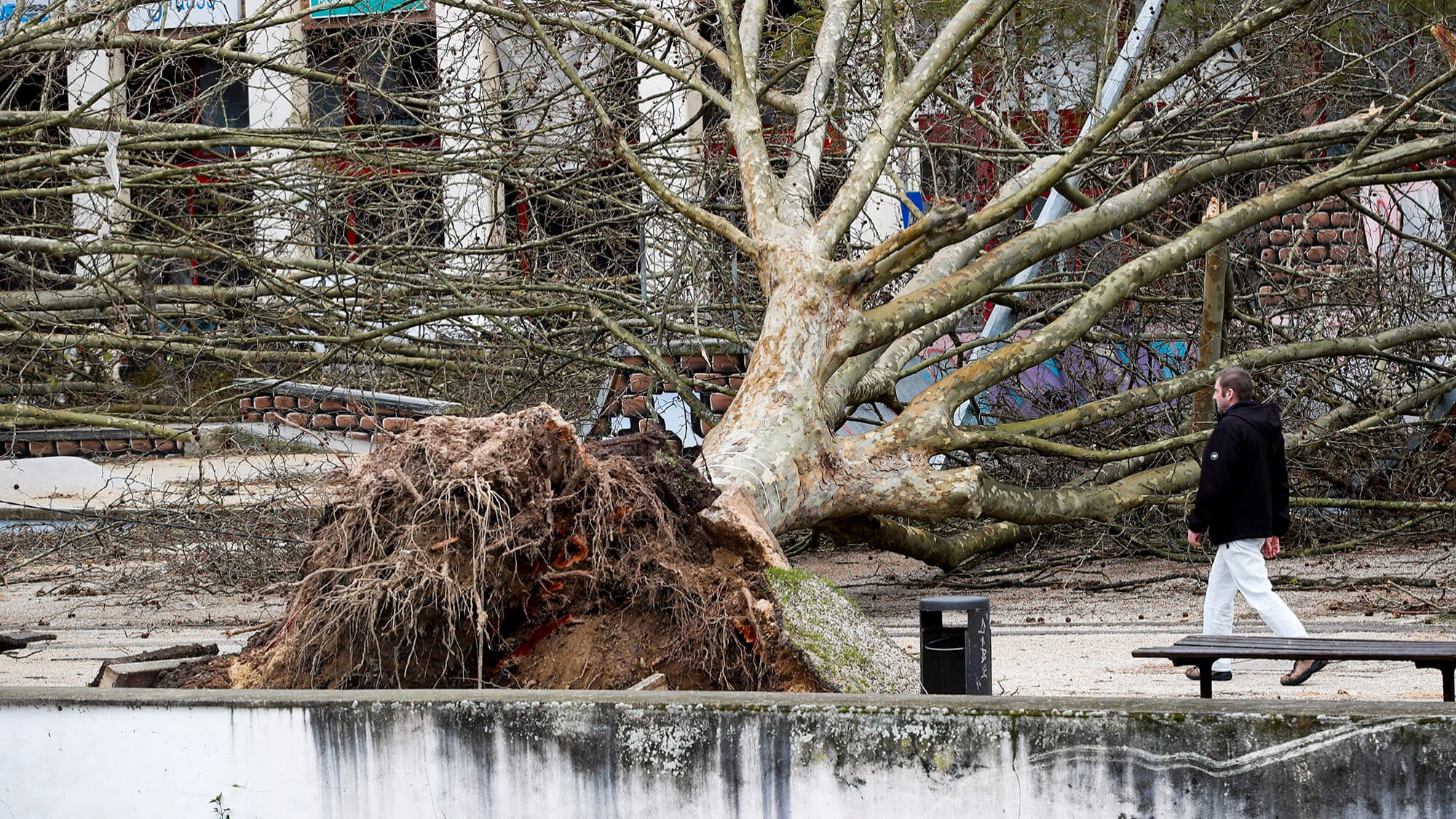 Storm Kristin: Generali sees claims notifications ten times above usual