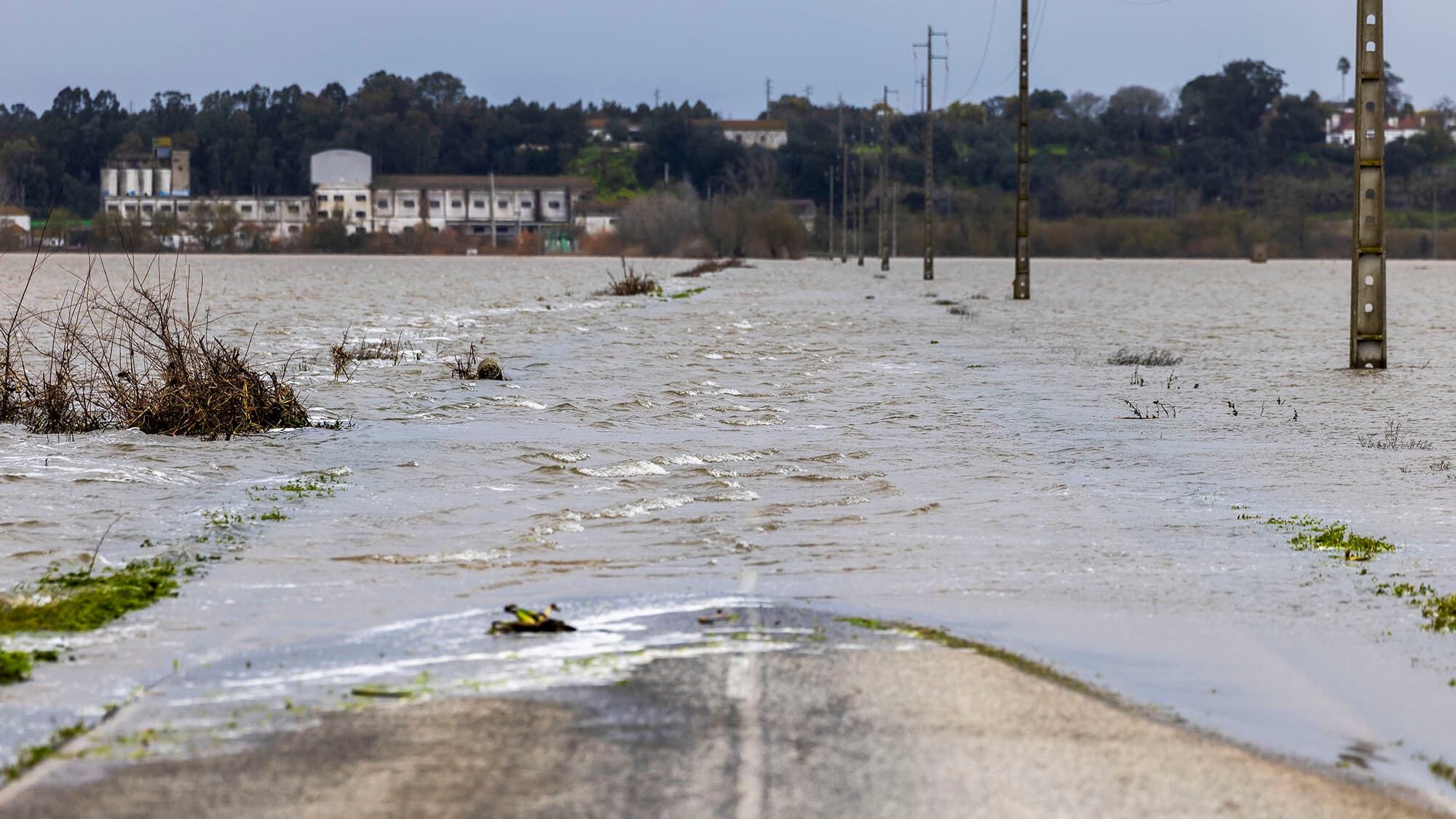 Kristin has no impact on food supply, but it may affect consumers' wallets