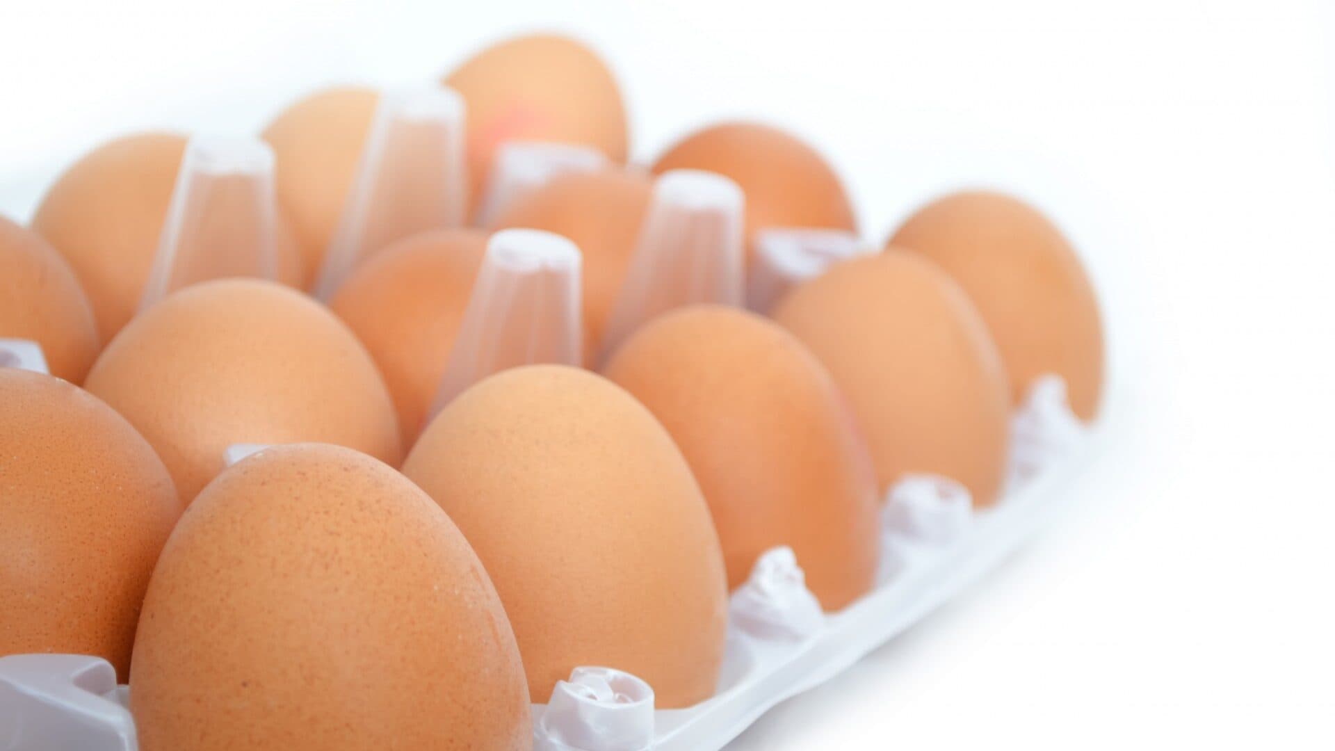 Half‑dozen eggs €0.50 pricier since 2025