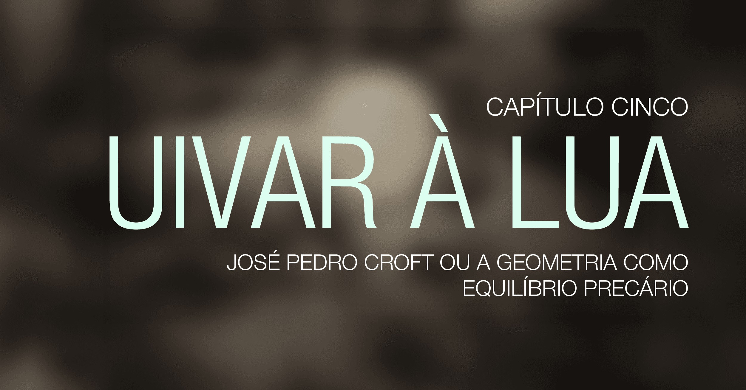 José Pedro Croft or geometry as a precarious balance