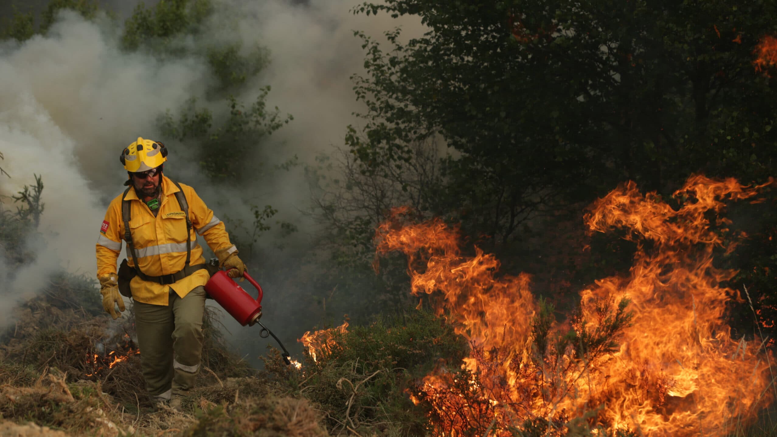 Government to pay up to 360 euros per hectare for controlled burning