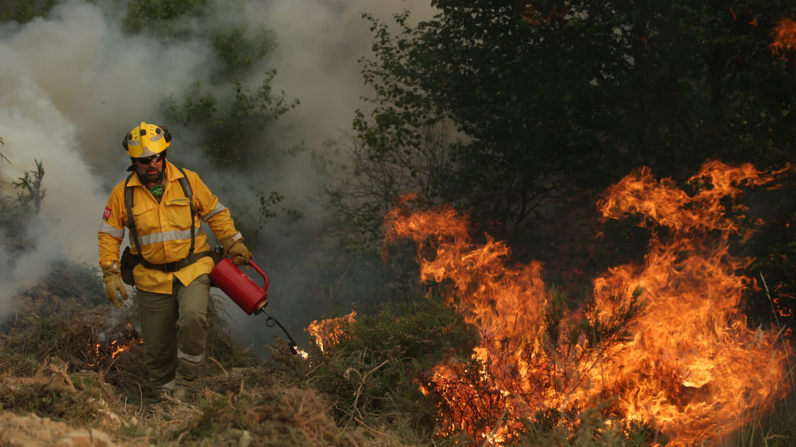 Forest fire investigation commission now has designated names