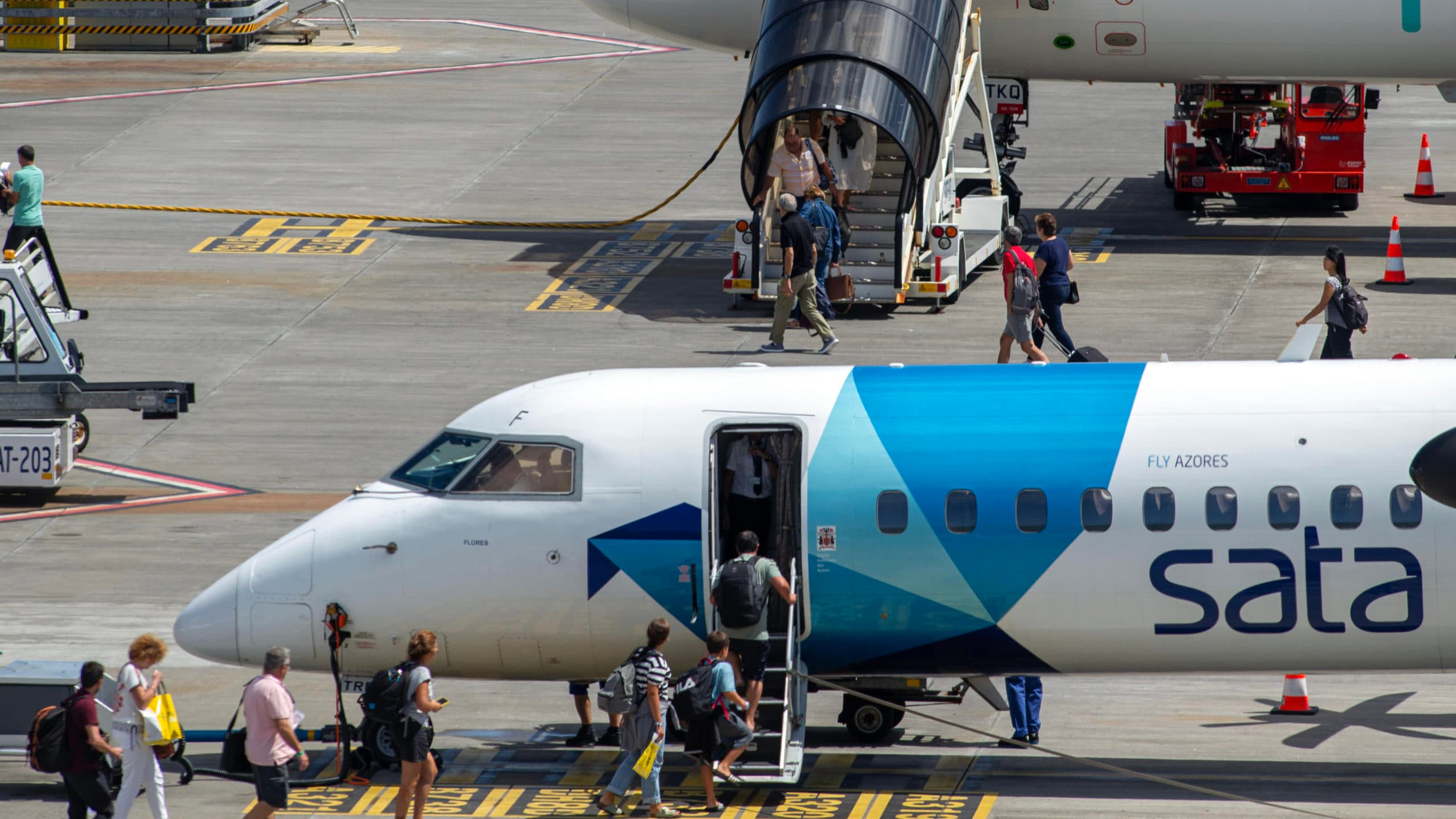 Special committee appointed to oversee the sale of 100% of SATA Handling