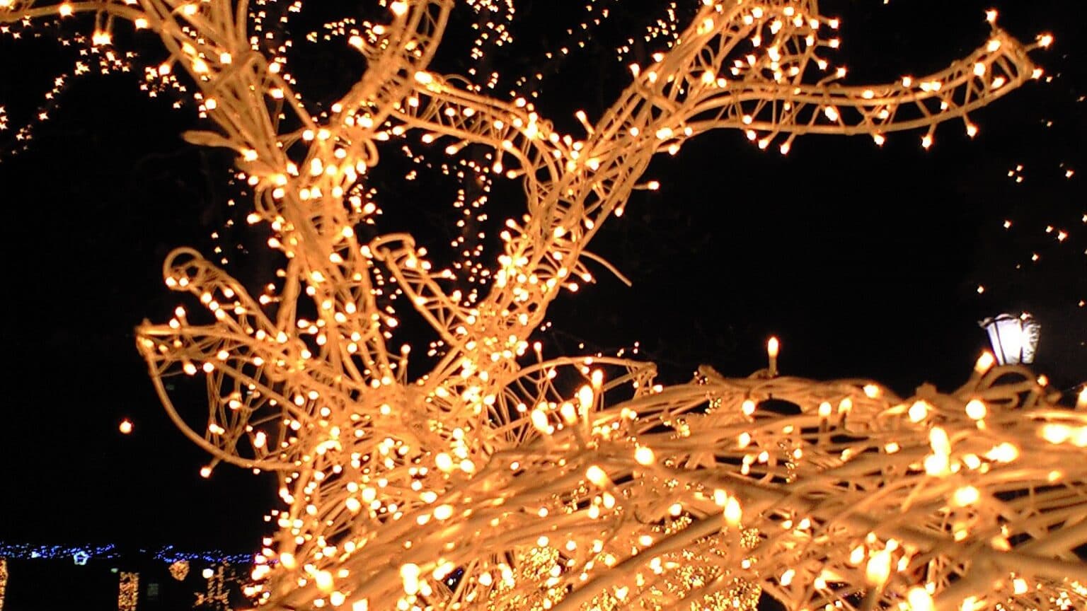 Company suspected in Operation Lúmen invoiced over five million at Christmas with municipalities and Madeira