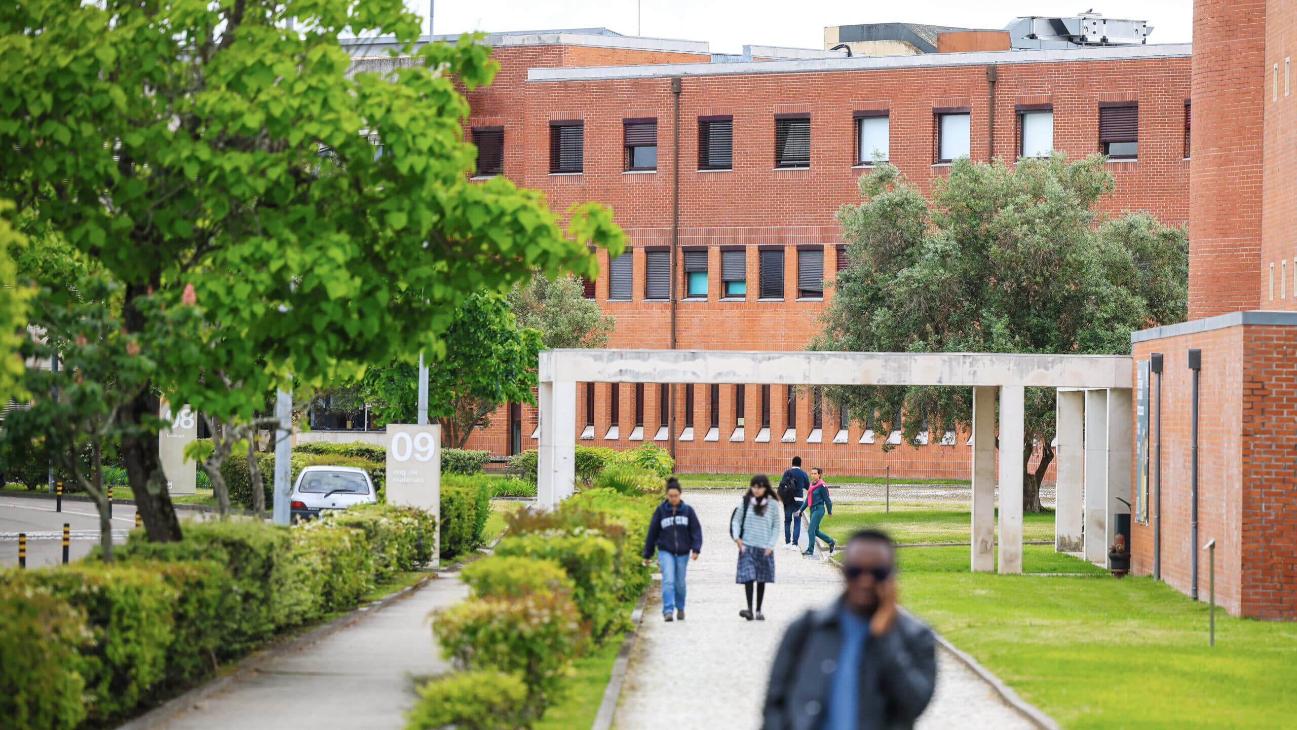 Number of higher education enrolments is the highest in the last decade