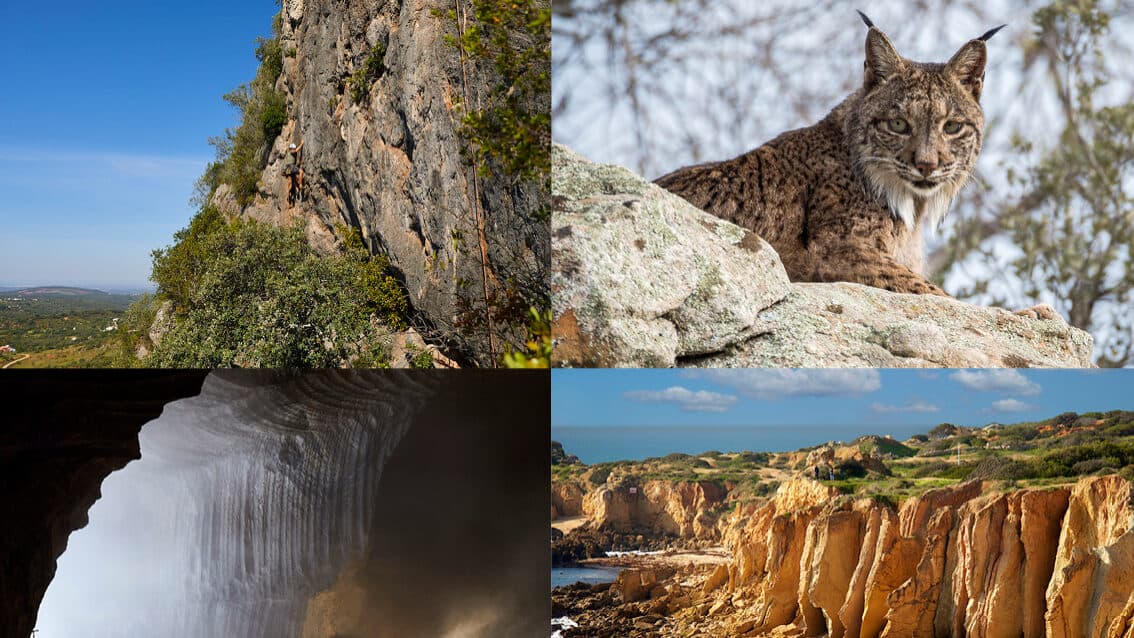 Algarvensis Geopark joins the UNESCO Global Geoparks Network