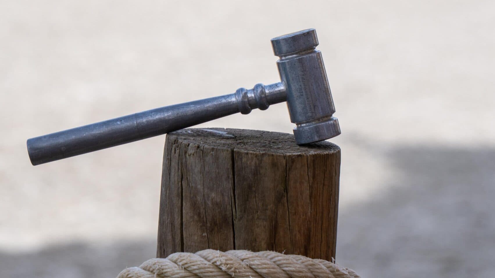 Lusitano sold for 20,000 euros at a lukewarm auction at the Alter Real Stud Farm