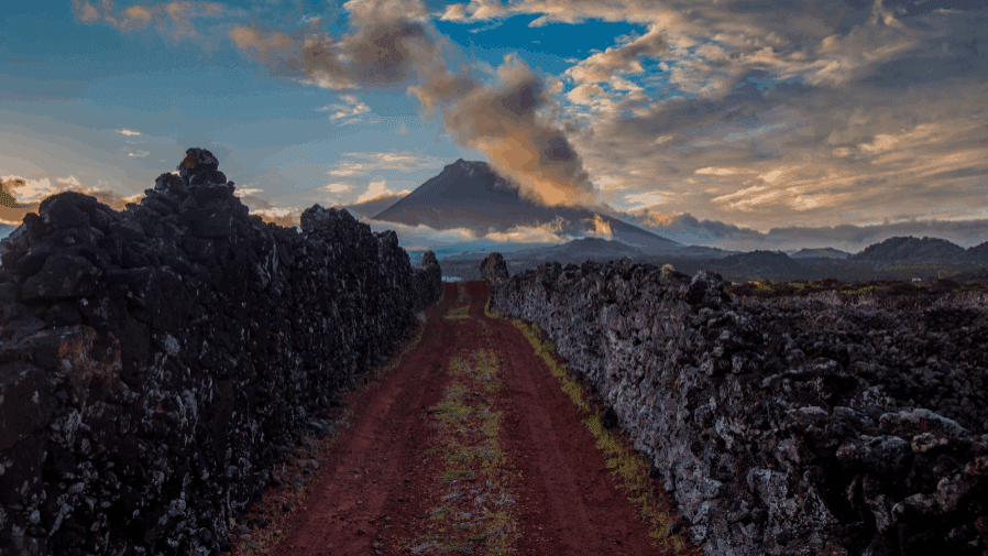 1,048 tonnes of grapes. Azores break two-decade production record and Pico 'crushes' it