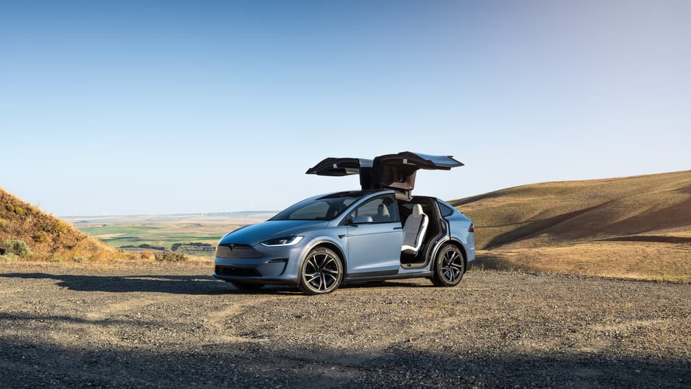 Tesla Model X: an elegant elephant with the soul of a sports car