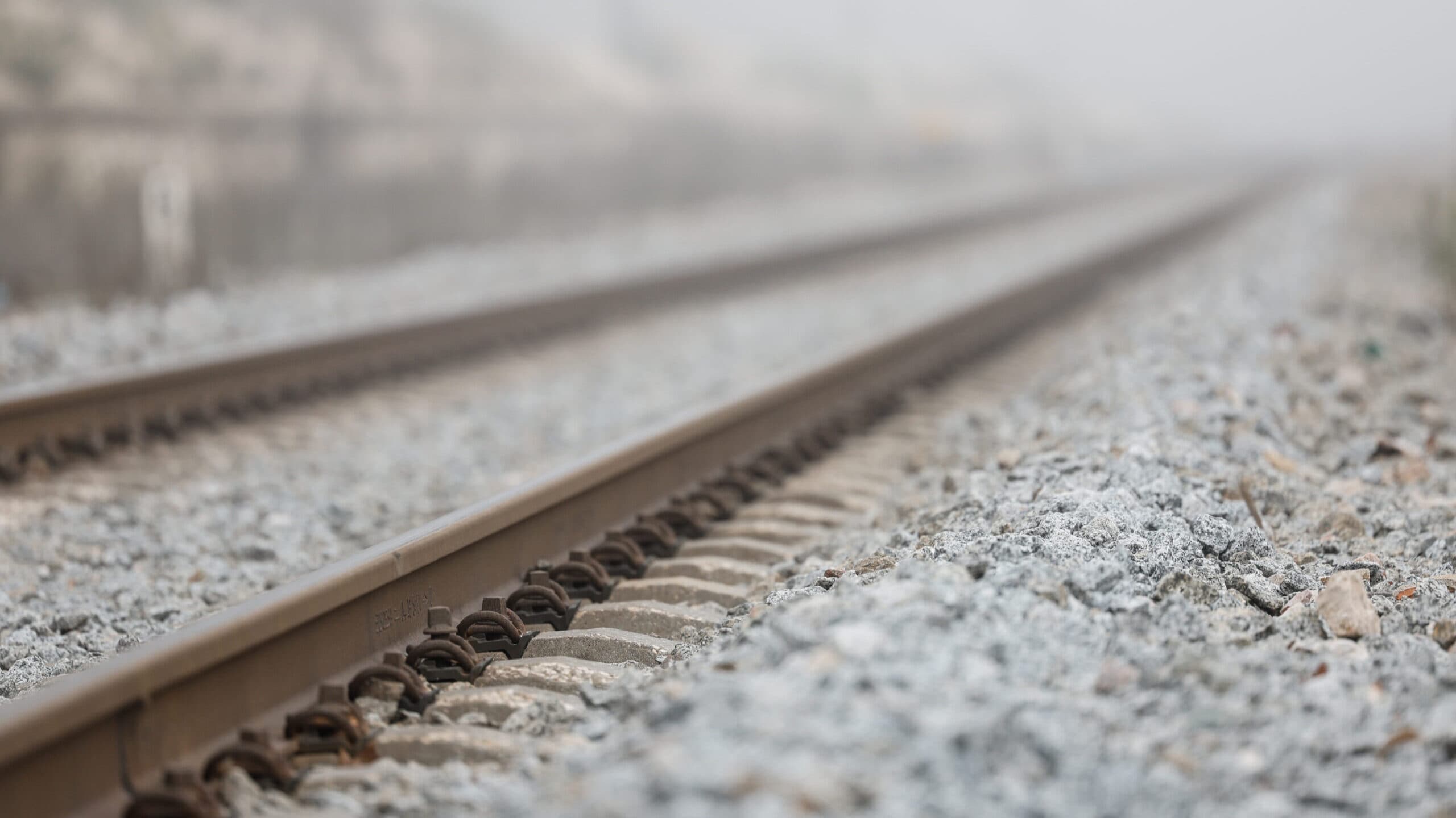 North Line interrupted after horses hit by train in Torres Novas