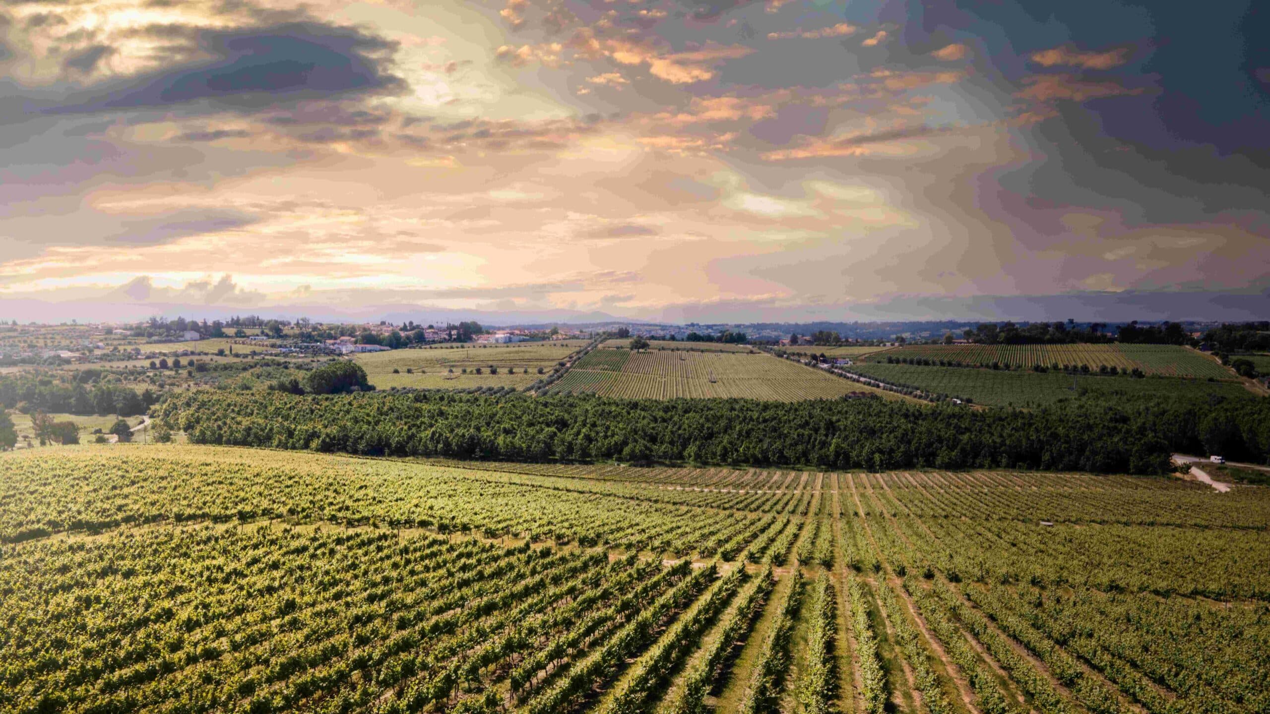 From housing to industry and agriculture, Committee of the Regions warns Europe of fracture points