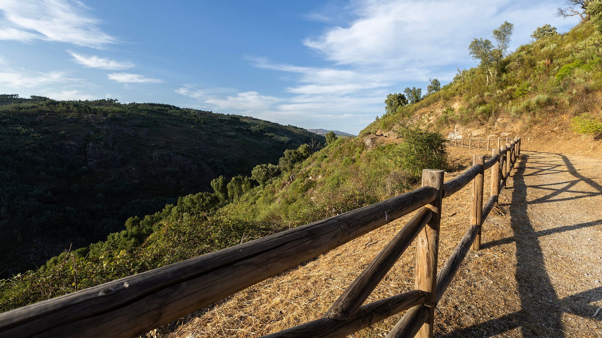 On the cliffs of the Mondego, the solution to flooding is born. The 2016 postponement of Girabolhos costs 300 million
