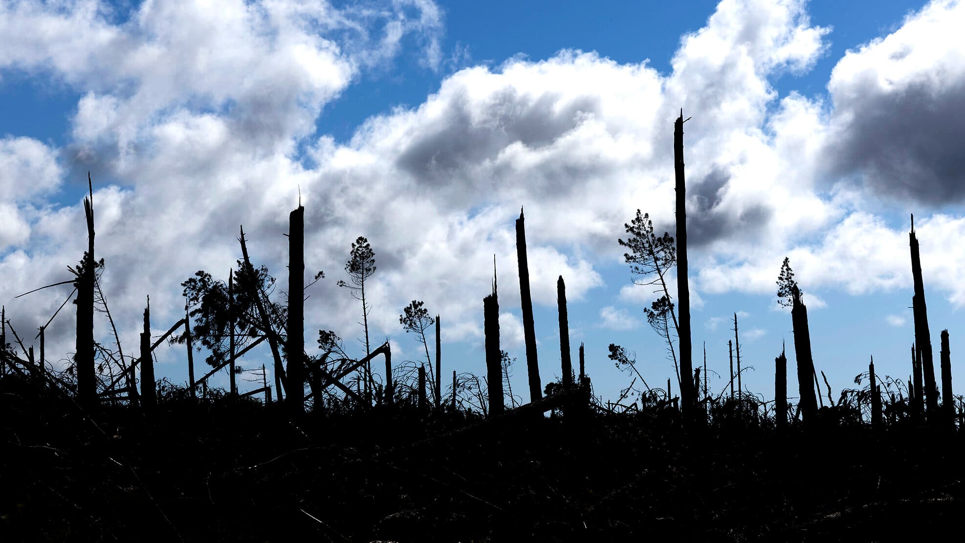 Kristin. Six months after the devastation, there are billions in damages and traumas that cannot be erased