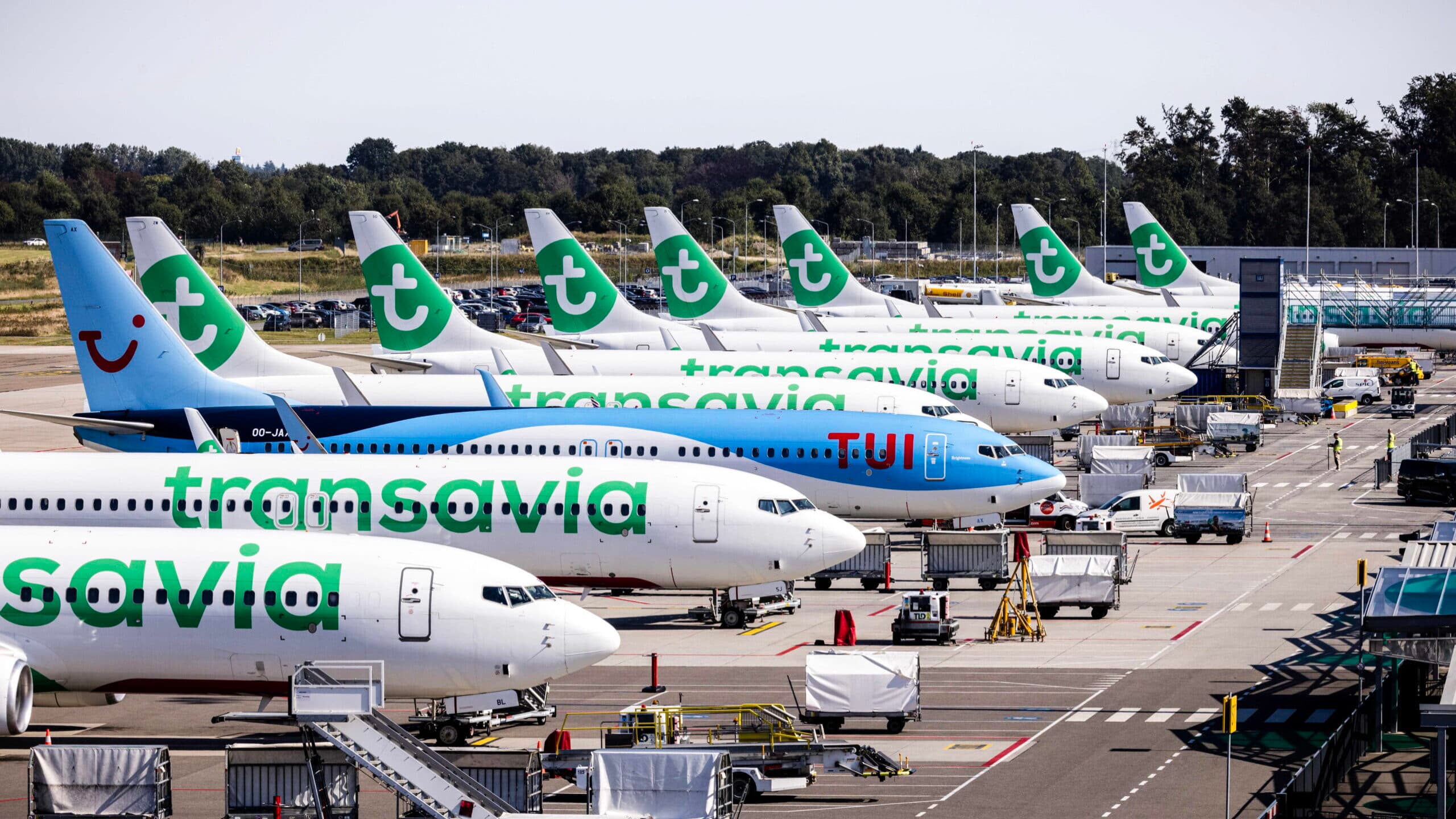 Transavia launches route between Ponta Delgada and Brussels in summer 2027