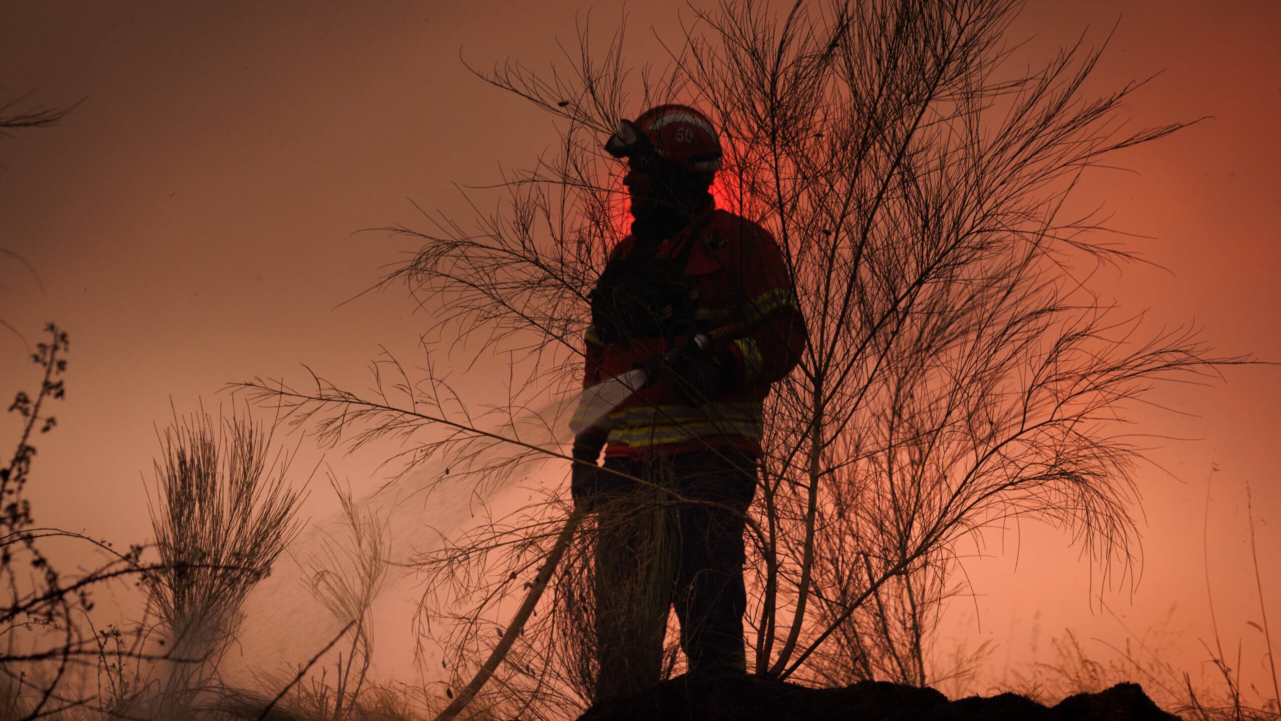 Around 30 municipalities in the interior North, Centre, and Algarve at maximum fire risk