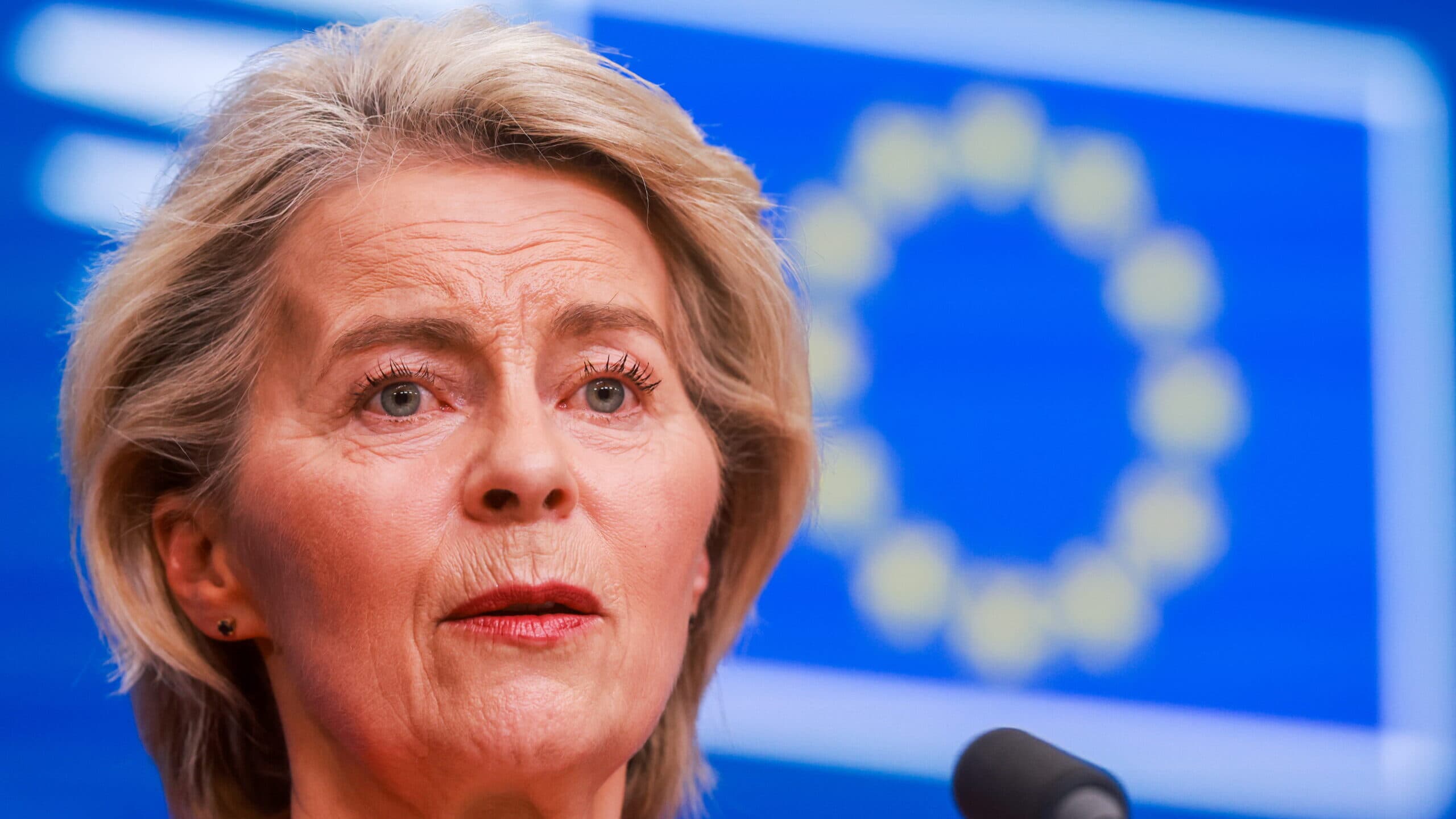Von der Leyen's new strategy for the Arctic region
