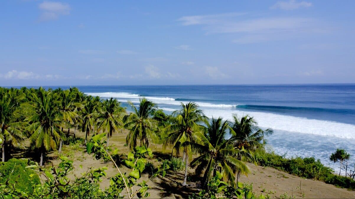 Businessman from Cascais surfs to Indonesia to make history at Desert Point