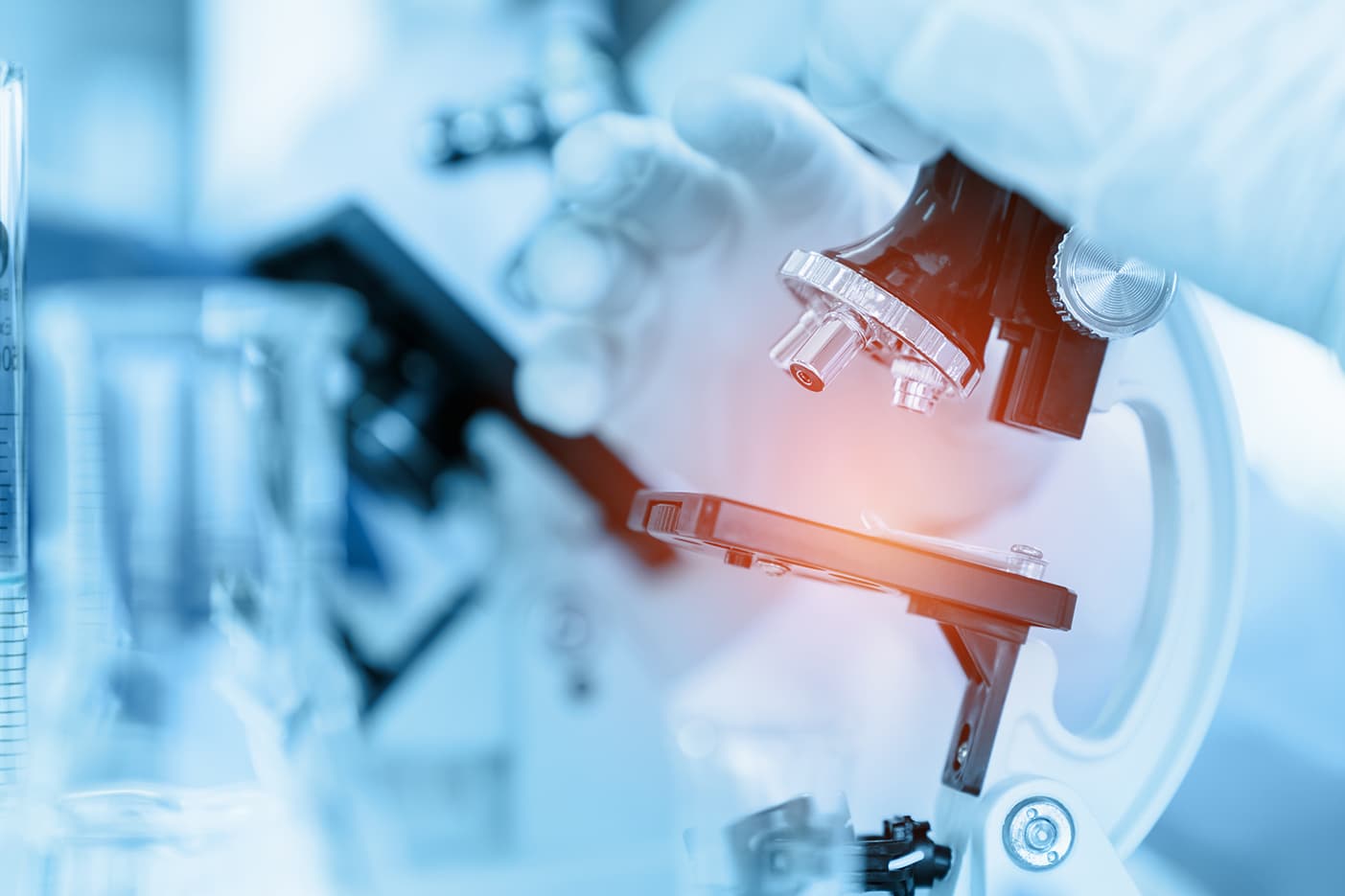 New research agency wants Portugal to be one of the countries "where it is easiest to do science"
