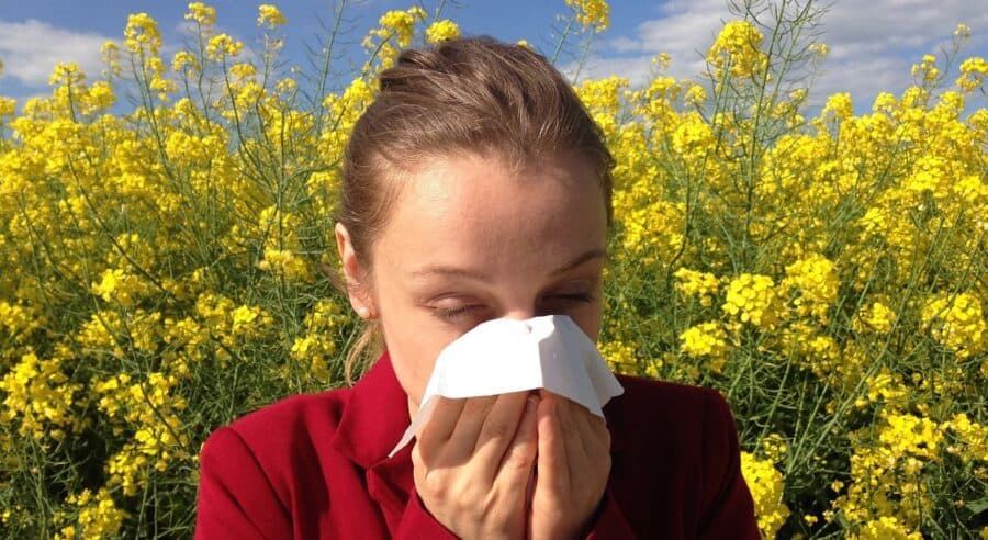 Mainland Portugal with high concentration of pollen in the atmosphere - SAPO
