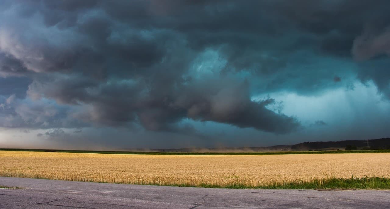 Climate change report highlights rising health risks in Portugal
