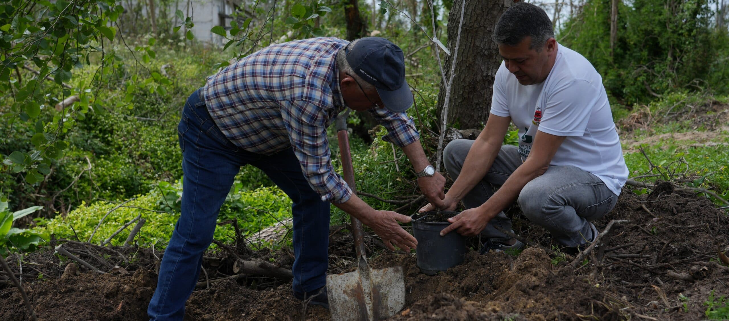 “Vamos Plantar Livros” initiative leads to the planting of over 7,000 new trees in Portugal