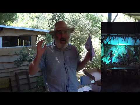 Festa, Filter and Feral Fuzzies   UV Water Filter Unboxing and Portugal Farm Life