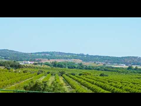 Driving from Lisbon to Evora 3/4 - Portugal