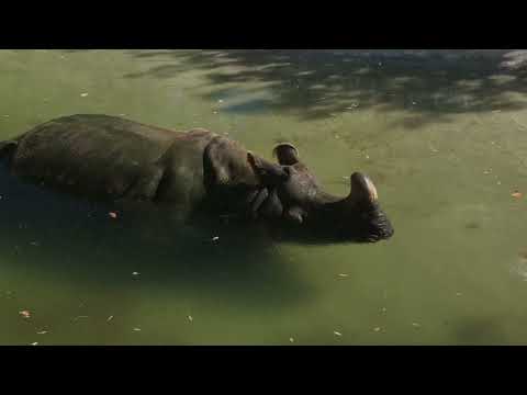Lisbon Zoo