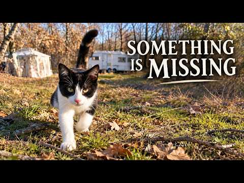 #71 Life Goes On, But Something Is Missing