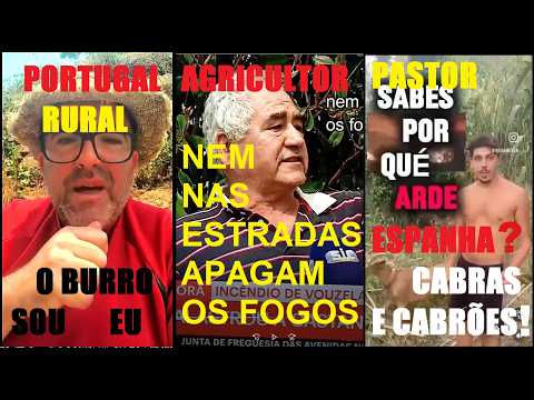 Causas Incêndios Portugal e Espanha Testemunhos das Vitimas  Rurais