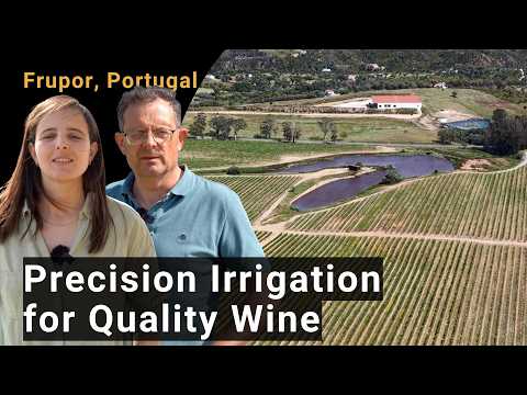 Precision Irrigation for Quality Wine | Frupor, Portugal | Cross Visit Climate Farm Demo