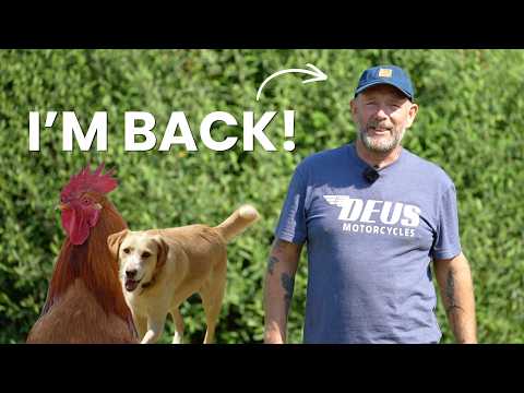I’m Back! 3 Years Living Off Grid in Portugal
